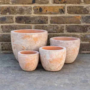 Terracotta Egg Planter (D19cm x H17cm) Handmade Outdoor Plant Pot - image 1