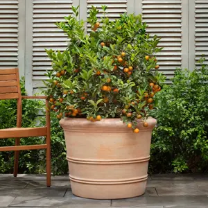 Terracotta Orangerie Planter - Handmade Outdoor Plant Pot