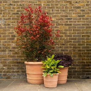 Terracotta Orangerie Planter (D36x36x29cm) Handmade Outdoor Plant Pot - image 2