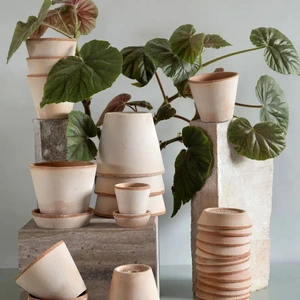 Terracotta Plant Pot & Saucer Set Rose Pink (Pot Size 30cm) Bergs Potter - image 2