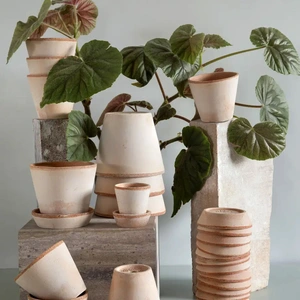 Terracotta Plant Pot & Saucer Set Rose Pink (Pot Size 14cm) Bergs Potter - image 2