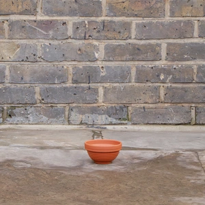 Terracotta Ribbed Bowl D11cm x H6cm - image 2
