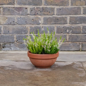 Terracotta Ribbed Bowl D23cm x H11cm - image 3