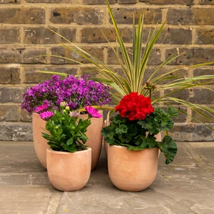 Terracotta Small Egg Pot (D15cm x H14cm) Handmade Outdoor Plant Pot - image 3