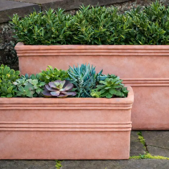 Terracotta Trough (W62cmxH25xD25) Outdoor Plant Trough