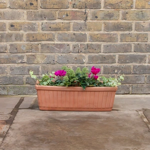 Terracotta Venetian Window Box D52cm x H17cm x W20cm - image 4