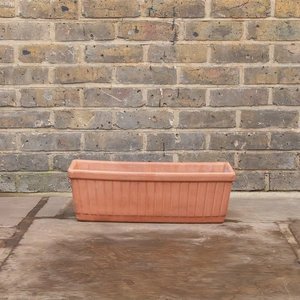 Terracotta Venetian Window Box D52cm x H17cm x W20cm - image 2