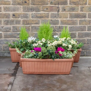 Terracotta Venetian Window Box (W62cm x H17cm x D20cm) Terracotta Trough Planter - image 2
