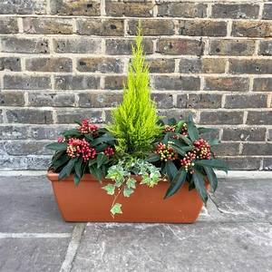 The Berry Roma Window Box - image 1