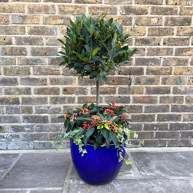 The Blue Merry Berry Lollipop Planter - image 1