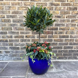 The Blue Merry Berry Lollipop Planter - image 1