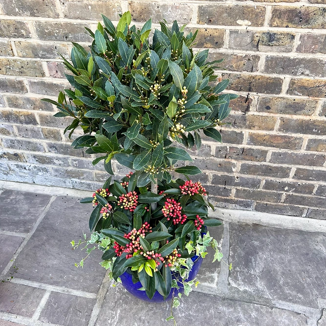 The Blue Merry Berry Lollipop Planter - image 2