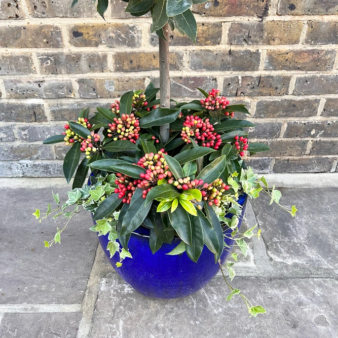 The Blue Merry Berry Lollipop Planter - image 3