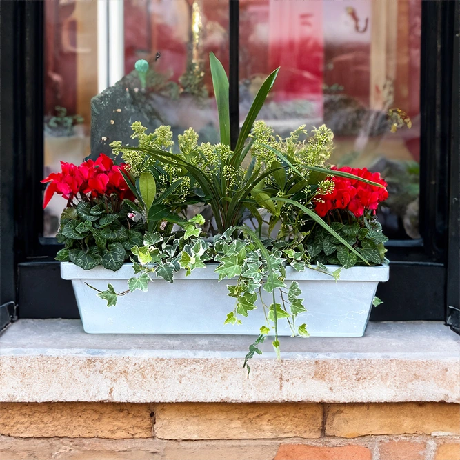 The Boma Choice Festive Window Planter - image 2