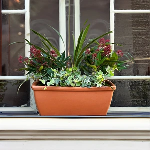 The Cordy Roma Festive Window Box Planter - image 2