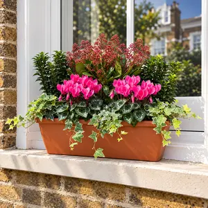 The Deluxe Pink Winter Festive Roma Planter