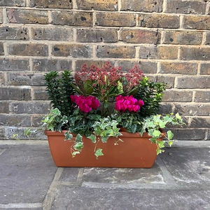 The Deluxe Purple Winter Festive Roma Planter - image 1