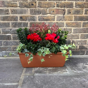 The Deluxe Red Winter Festive Roma Planter - image 1