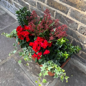The Deluxe Red Winter Festive Roma Planter - image 2