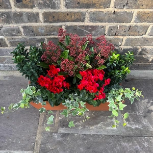 The Deluxe Red Winter Festive Roma Planter - image 3