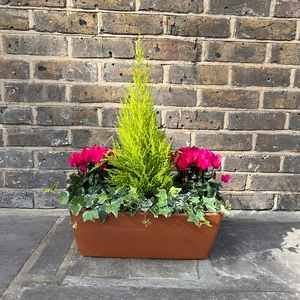 The Festive Pink Garda Planter - image 1