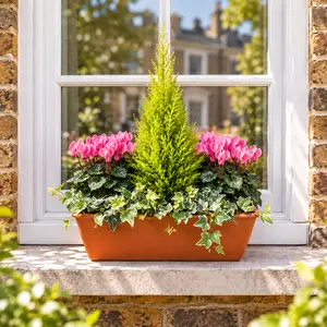The Festive Pink Garda Planter