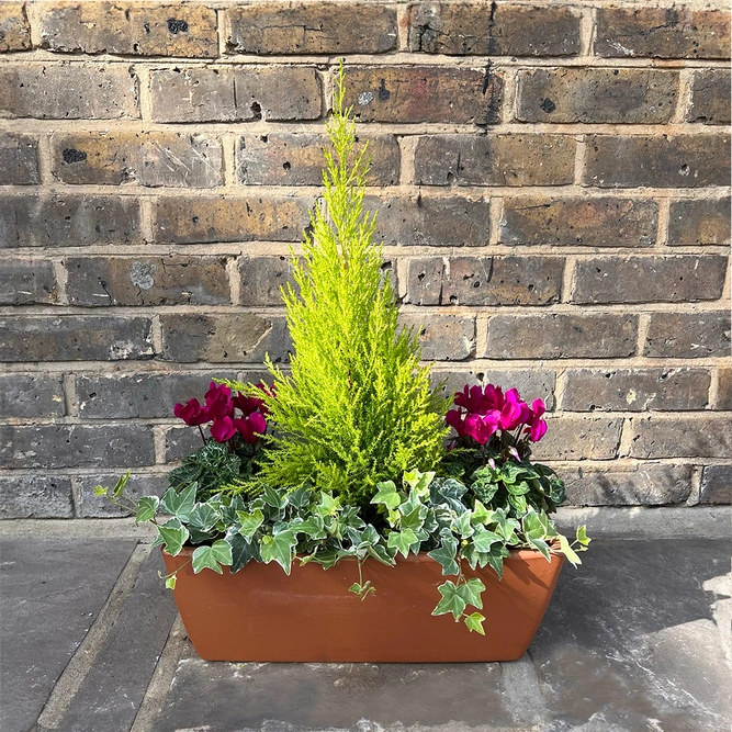 The Festive Purple Garda Planter - image 1