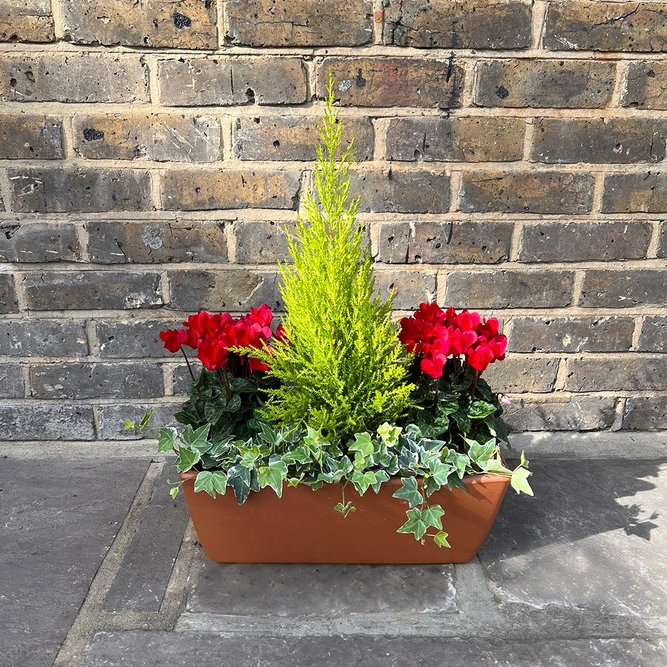 The Festive Red Garda Planter - image 1