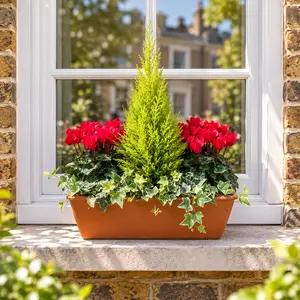 The Festive Red Garda Planter