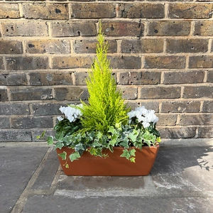 The Festive White Garda Planter - image 1