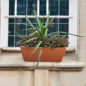 The Garda Erica Alba Window Box - Pink Red - image 2