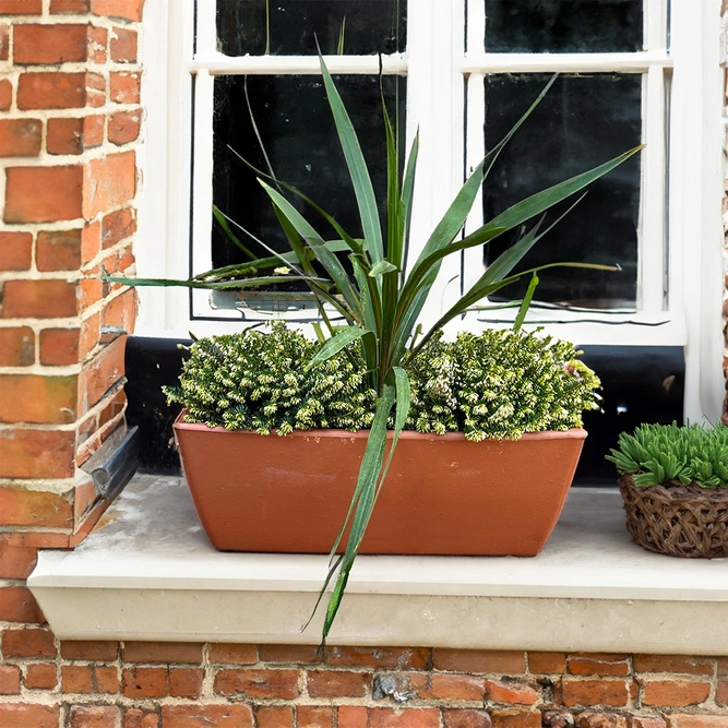 The Garda Erica Alba Window Box - White - image 2