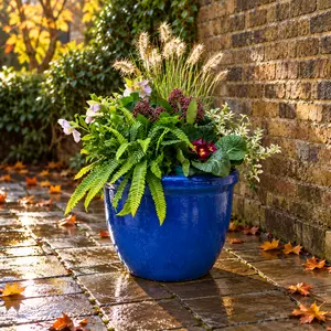 The Kenwood Planter (25cm) Ready-Planted Glazed Terracotta Planter - image 1