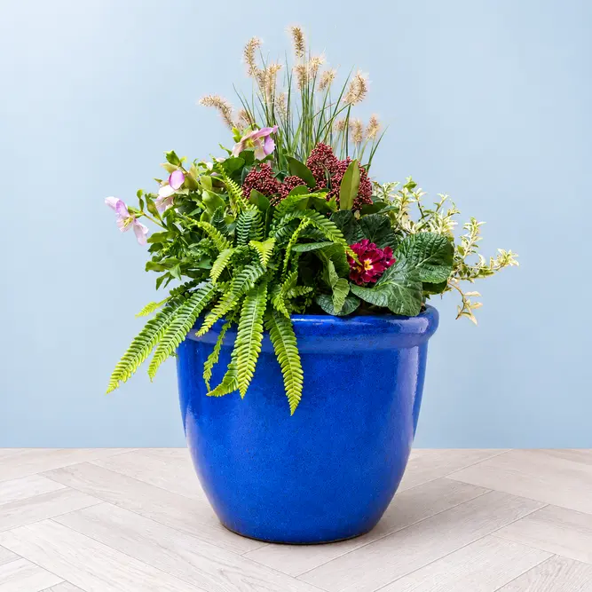The Kenwood Planter (25cm) Ready-Planted Glazed Terracotta Planter - image 2
