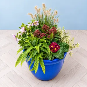 The Kenwood Planter (25cm) Ready-Planted Glazed Terracotta Planter - image 3