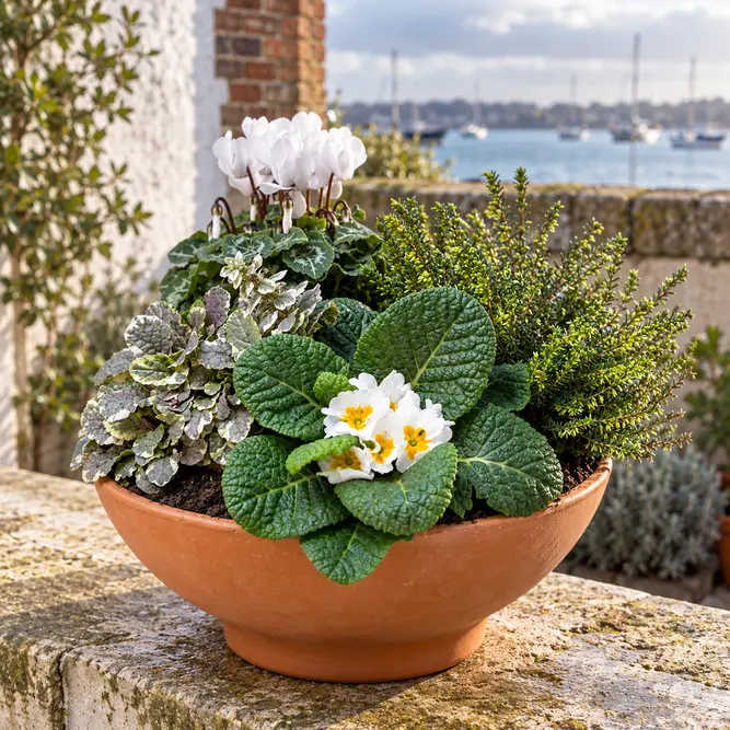 The Portsmouth Bowl (32cm) Ready-Planted Terracotta Bowl Planter - image 1