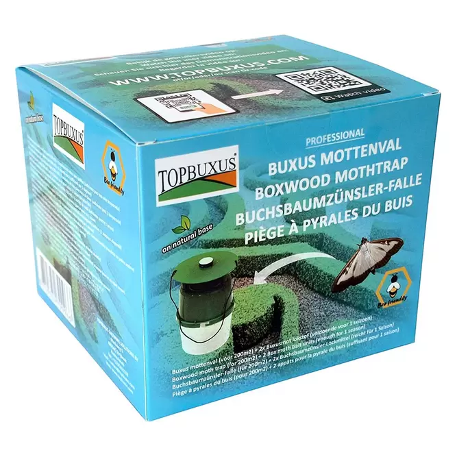 Top Buxus Boxwood Mothtrap - image 1