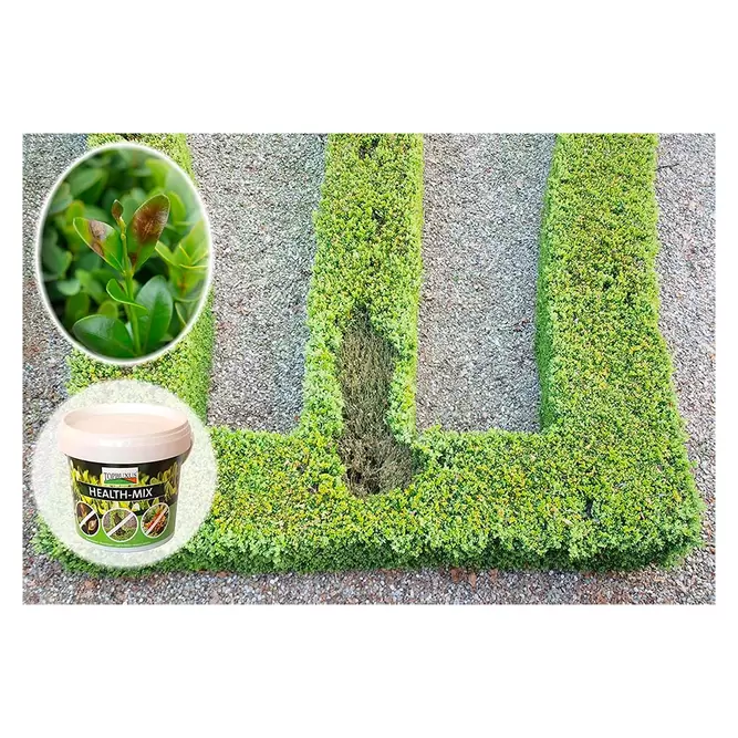 Topbuxus Health Mix 200g - image 3