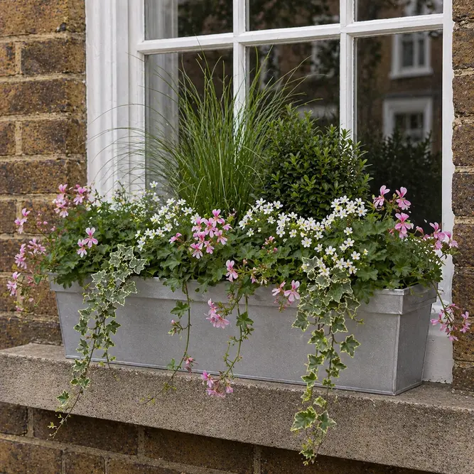 Trailing Pink & White Flower Seasonal Box