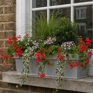 Trailing Red & Pink Flower Seasonal Box