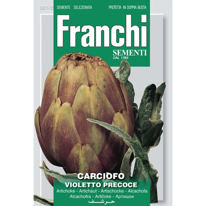 Vegetable Seeds - Artichoke Carciofo Violetto - image 2
