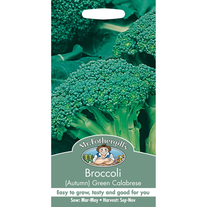Vegetable Seeds - Broccoli (Autumn) Green Calabrese - image 2