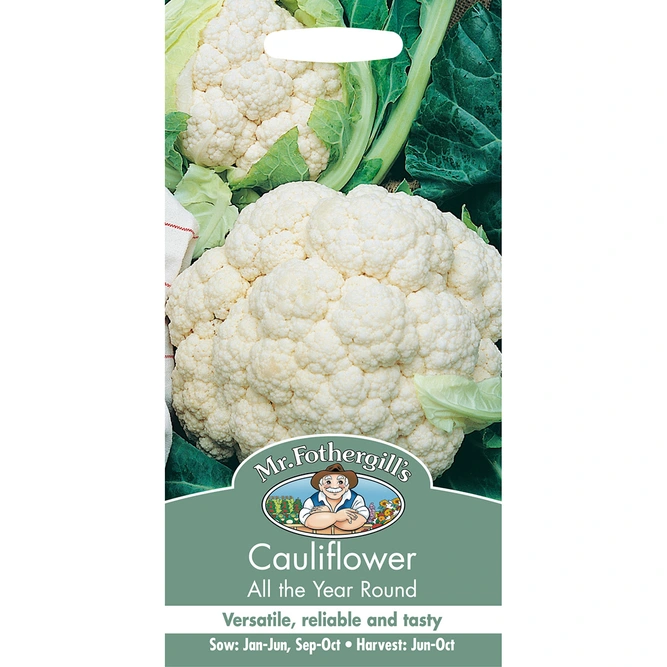 Vegetable Seeds - Cauliflower All The Year Round - image 2