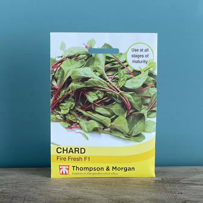 Vegetable Seeds - Chard Fire Fresh F1
