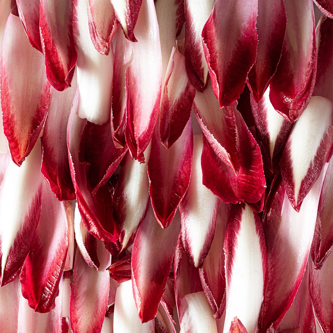 Vegetable Seeds - Chicory Rossa Treviso from Boma Garden Centre