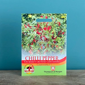 Vegetable Seeds - Chilli Pepper (Cayennetta) - image 2