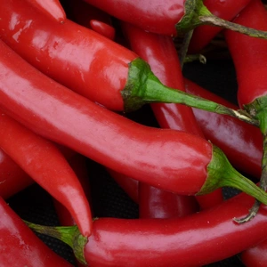 Vegetable Seeds - Chilli Pepper (Demon Red) - image 1