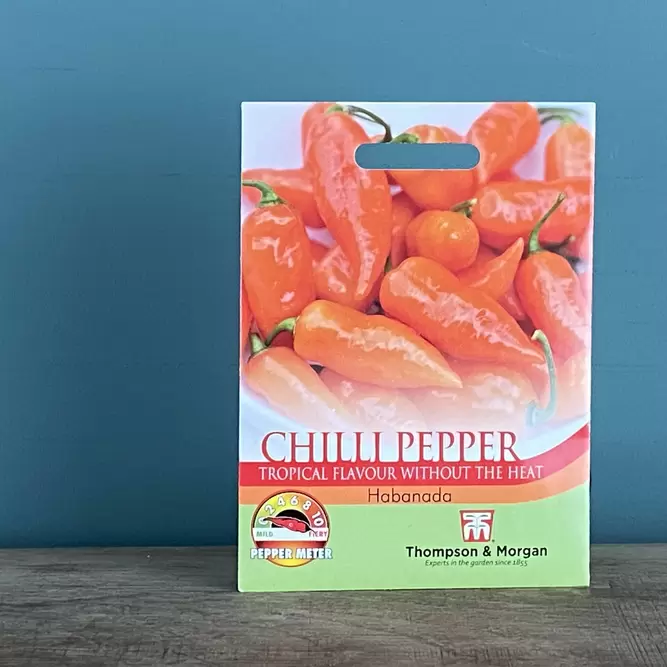 Vegetable Seeds - Chilli Pepper (Habanada)