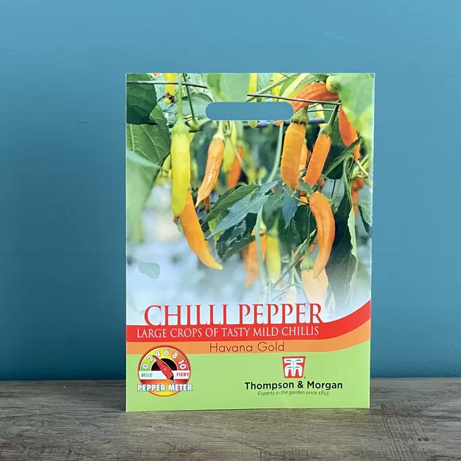 Vegetable Seeds - Chilli Pepper (Havana Gold)
