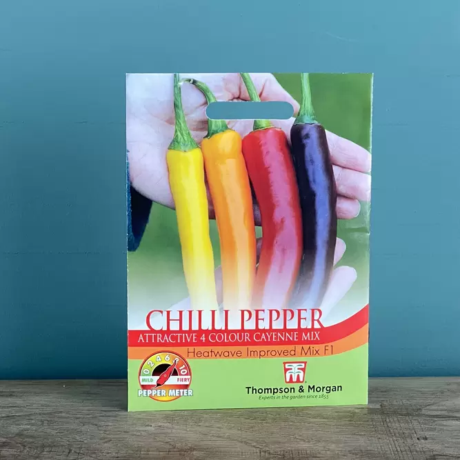 Vegetable Seeds - Chilli Pepper (Heatwave)